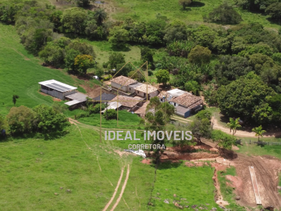 BELA FAZENDA NO SUDESTE BRASILEIRO.mp4_000002135 (1)